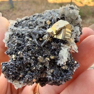 ✨ Chalcopyrite with Sphalerite & Quartz | Bulgaria | Natural Mineral Specimen